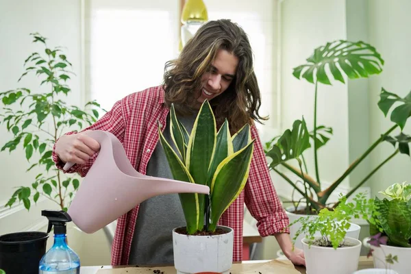 Um cara adolescente regando plantas em vasos, sansevieria — Fotografia de Stock