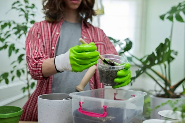 Подросток пересаживает комнатные растения, готовит почву перлитным вермикулитом — стоковое фото