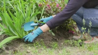 Çiçek tarlasında çiçeklerle çalışan kadınların yakın çekimi.