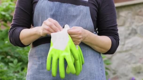 庭のための保護手袋を身に着けているエプロンで女性の手の屋外のクローズアップ — ストック動画
