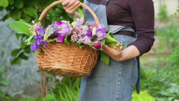 Outdoor-Nahaufnahme Korb mit Garten frische Frühlingsblumen in den Händen der Frau — Stockvideo