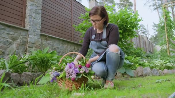 Kvinna trädgårdsmästare, florist i trädgården med korg av färska plockade trädgård vårblommor — Stockvideo