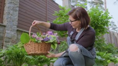 Kadın bahçıvan, bahçede çiçekçi bir sepet taze koparılmış bahar çiçeğiyle