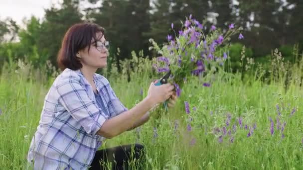 Mujer madura recogiendo ramo de flores silvestres púrpura campanas — Vídeo de stock