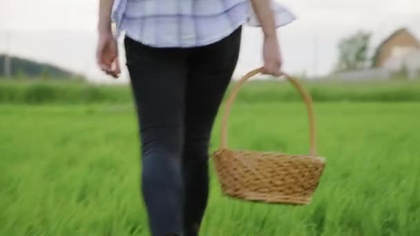 Vista trasera, mujer con cesta de fresas en la mano caminando sobre la hierba verde — Vídeo de stock