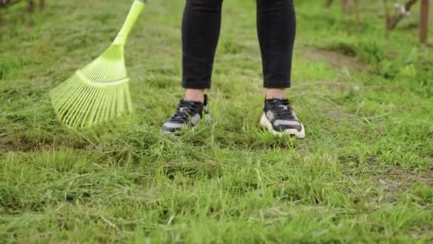 Primer plano de piernas de mujer con rastrillo, cosecha femenina hierba verde recién cortada — Vídeos de Stock