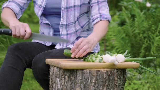 Primer plano de las manos femeninas haciendo ensalada de verduras en el jardín al aire libre — Vídeos de Stock