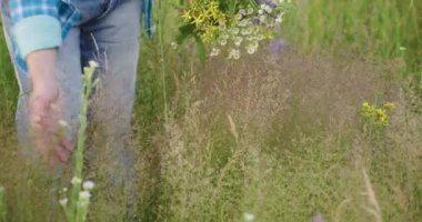 Bir buket otlu ve çiçekli kadın yaz tarlasında çiçek açan bitkilere dokunuyor.