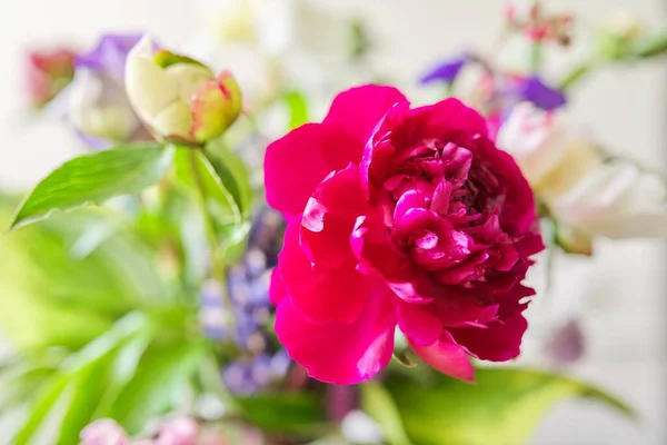 抽象的な多色の花の背景のテクスチャ、クローズアップ花や芽 — ストック写真