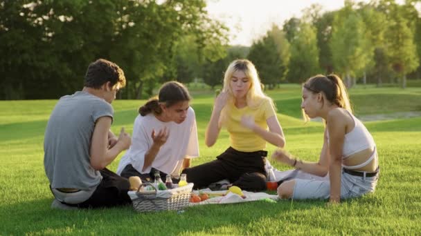 野餐的时候，四个青少年坐在公园的草坪上，吃着，喝着，聊着，玩得很开心 — 图库视频影像