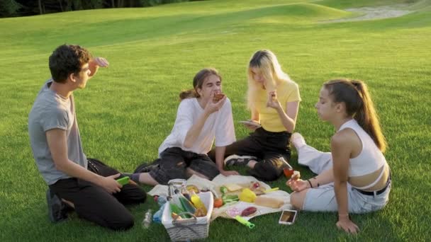 Picknick, grupp av fyra tonåringar sitter på gräsmattan på gräs i parken, äta, dricka, prata, ha kul — Stockvideo