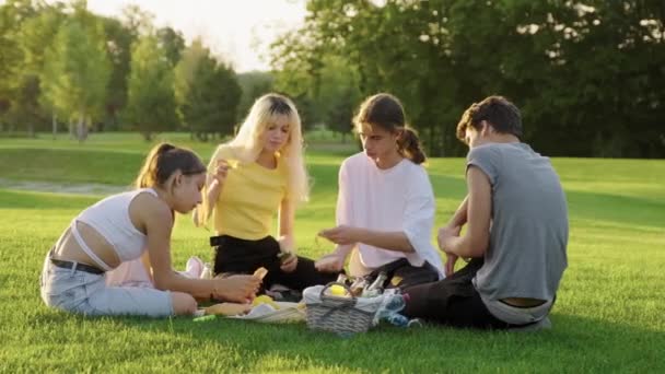 Picknick, Gruppe von vier Teenagern, die auf Rasen im Park sitzen, essen, trinken, reden, Spaß haben — Stockvideo