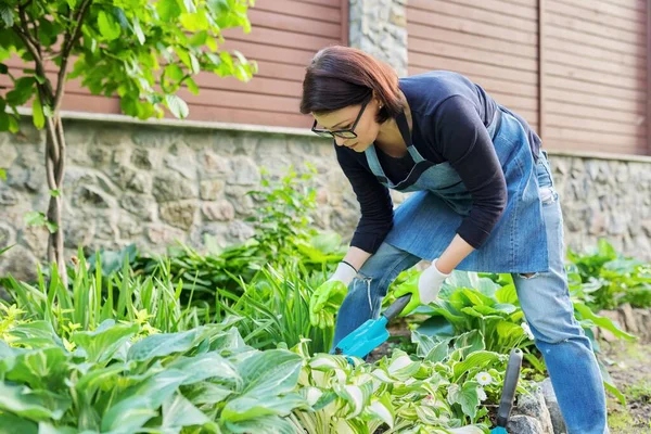 Berkebun, bunga tempat tidur, perempuan tukang kebun bekerja dengan tanaman di kebun — Stok Foto