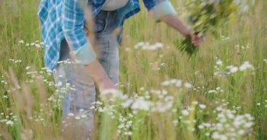 Bahçe makası ile bir buket kır çiçeği kesen kadın.