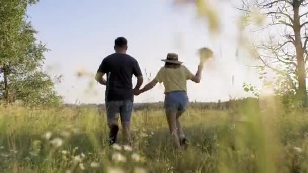 Feliz casal de meia-idade correndo juntos de mãos dadas, visão traseira — Vídeo de Stock