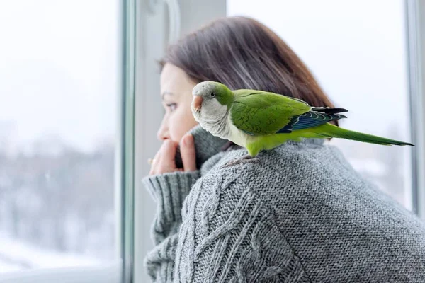 Invierno, estilo de vida en casa, mujer y loro mirando juntos a través de la ventana nevada — Foto de Stock