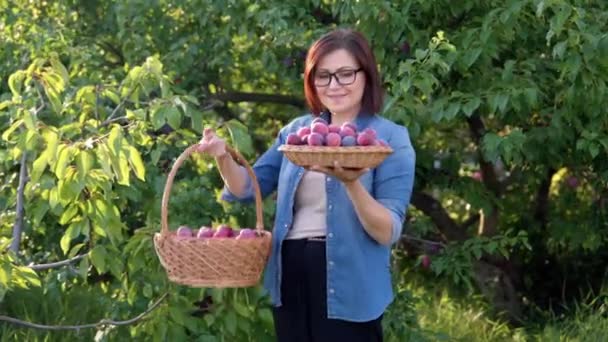 Middelbare vrouw met oogst van rijpe pruimen in mand — Stockvideo