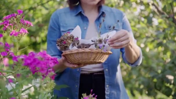 Mujer en jardín de verano con flores secas recogidas planta semillas en cesta — Vídeo de stock