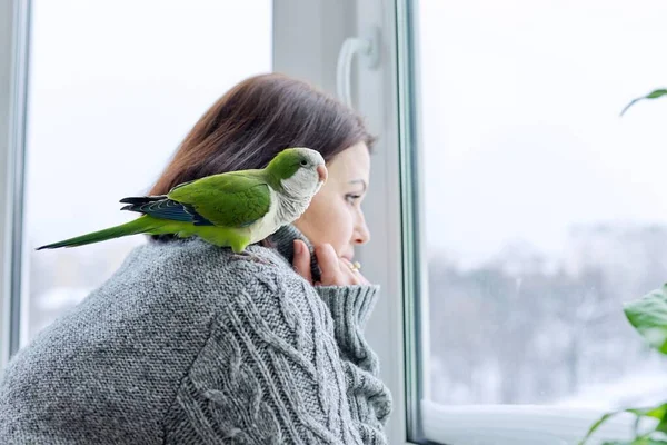 Invierno, estilo de vida en casa, mujer y loro mirando juntos a través de la ventana nevada — Foto de Stock