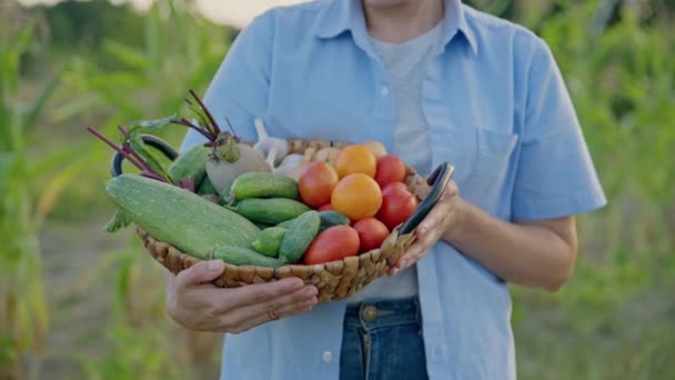 Gärtnerin mittleren Alters mit Korb mit reifem Gemüse — Stockvideo