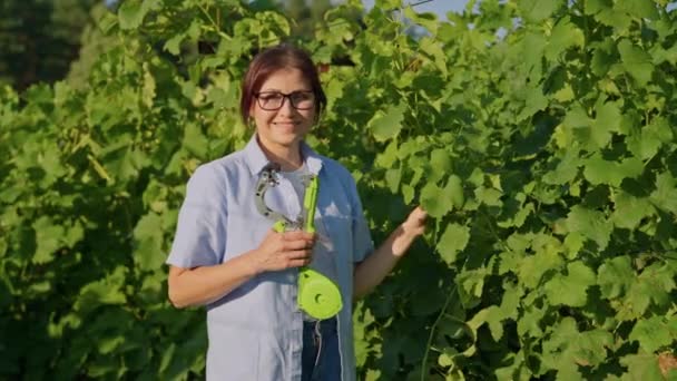 Porträt einer Gärtnerin mittleren Alters im Weinberg mit Werkzeug zum Binden der Reben — Stockvideo