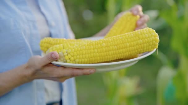 Свежая вареная сладкая кукуруза в тарелке в женских руках крупным планом — стоковое видео