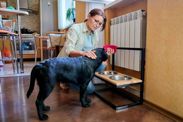 Wanita paruh baya dan anjing peliharaan di rumah di interior dapur — Stok Foto