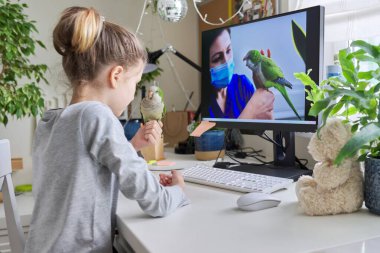 Kız ve evcil yeşil papağan evde birlikte, çocuk bilgisayarda video izliyor.