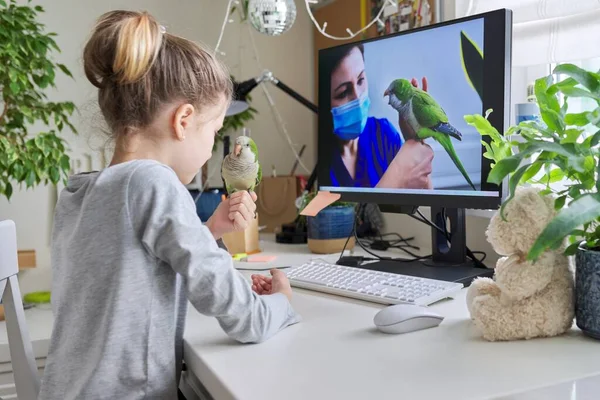 Girl and pet green parrot together at home, child watches video on computer
