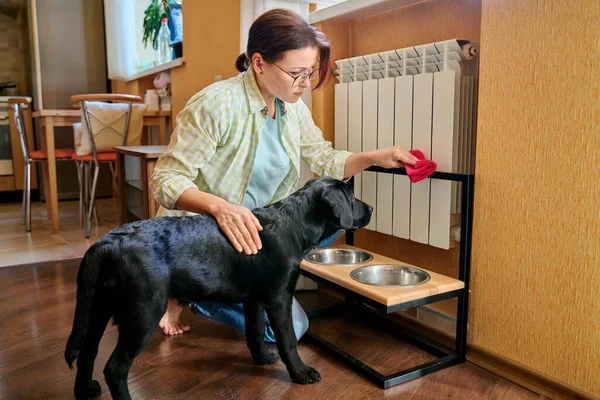 Středního věku žena a domácí pes doma v kuchyni interiér — Stock fotografie