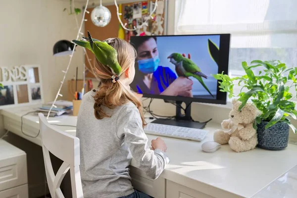 Girl and pet green parrot together at home, child watches video on computer — Stock Photo, Image