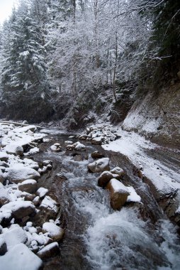 Şelale Dağı kış ormandaki ağaçlar karla kaplı ve kar yağışı