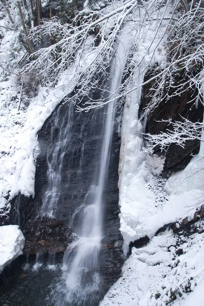 Waterfall in the mountain winter forest with snow-covered trees and snowfall — Stock Photo, Image