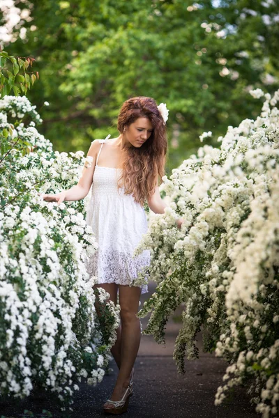 Charmig ung dam står fullängds våren trädgård full av vita blommor — Stockfoto