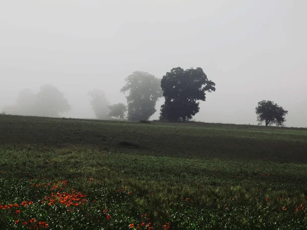 Décollage de la brume — Photo