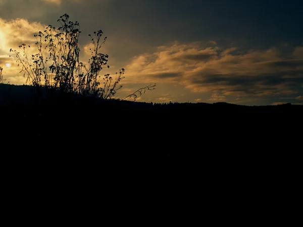 Contra o céu — Fotografia de Stock