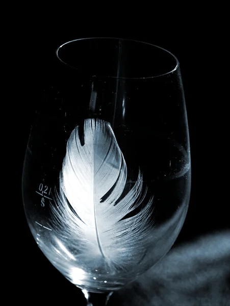 Sunk feather — Stock Photo, Image