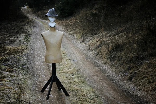 帽子、裸で立っていた ロイヤリティフリーのストック写真
