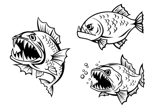 Peces piraña enojado con dientes afilados — Vector de stock