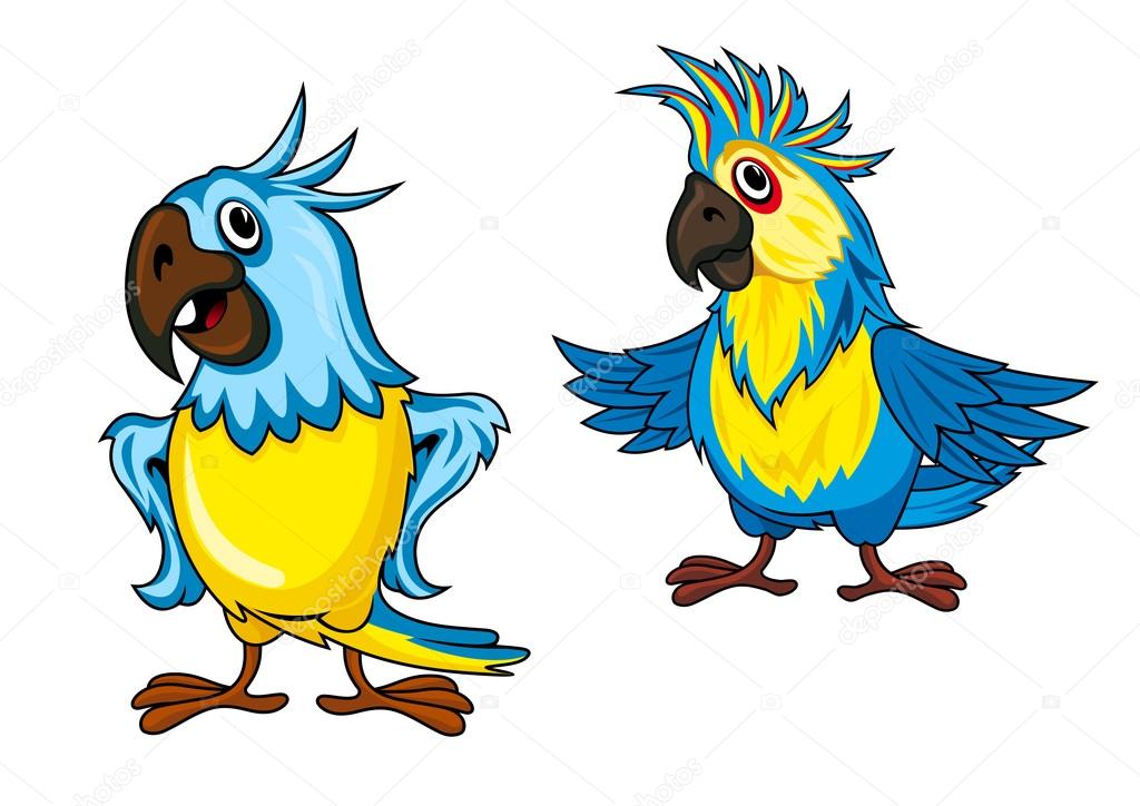 Cute colorful parrots cartoon characters showing birds with yellow and blue feathering and funny crests isolated on white background