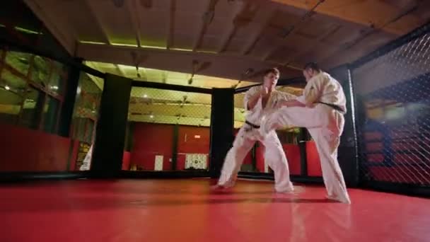 Sportler in Kimonos kämpfen beim Karate-Training auf roter Bahn — Stockvideo