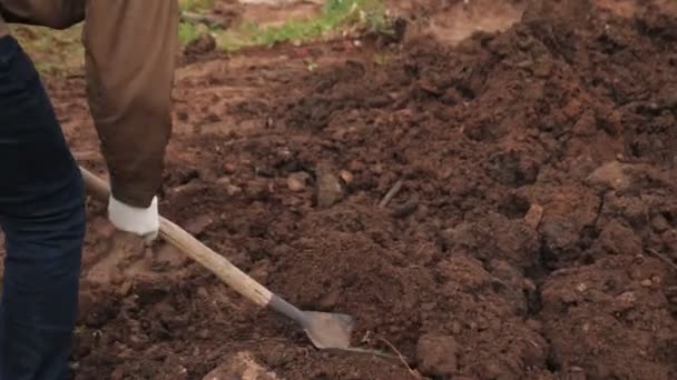 Trabajador en jeans y chaqueta beige cava tierra con pala — Vídeos de Stock