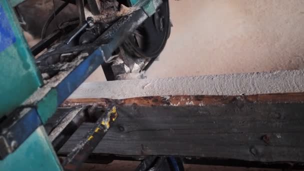 Segare il tronco in tavole con macchina utensile in falegnameria — Video Stock