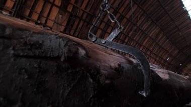 Marangozhanede zincirli metal maşalar tarafından tutulan kütük.