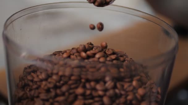 Grãos torrados cai em recipiente de máquina de café — Vídeo de Stock