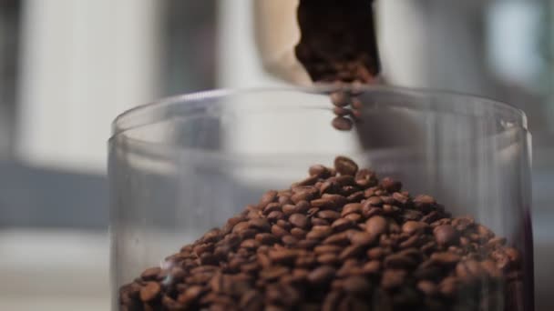 Kahve yapma süreci ve bardakta ne istersen onu yap. — Stok video