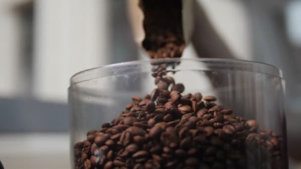 Verter granos de café en un recipiente de plástico en el primer plano de la cafetería — Vídeo de stock