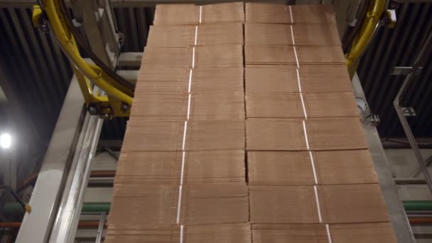 Máquina envuelve cajas de cartón plegadas en la línea de producción — Vídeos de Stock