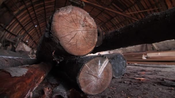 Corte de troncos grandes e instalación de hoja de sierra en taller — Vídeo de stock