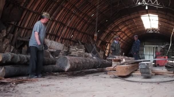 Los empleados trabajan con troncos grandes y tablas largas en el taller — Vídeos de Stock